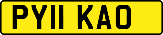 PY11KAO