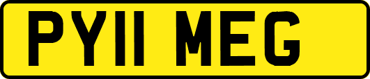PY11MEG