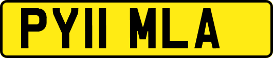 PY11MLA