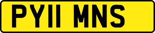 PY11MNS
