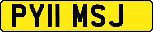PY11MSJ