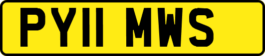 PY11MWS