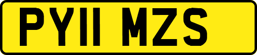 PY11MZS