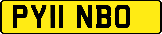 PY11NBO