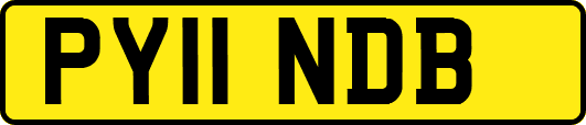 PY11NDB