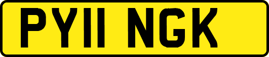PY11NGK