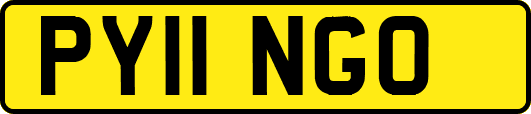 PY11NGO