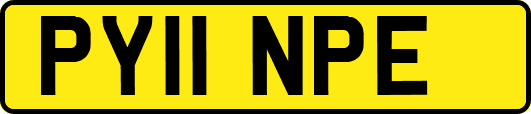 PY11NPE