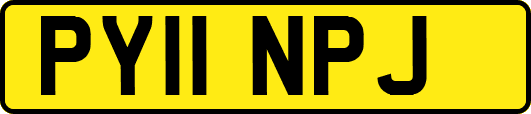 PY11NPJ