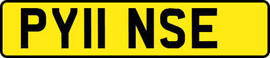 PY11NSE