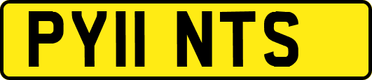 PY11NTS