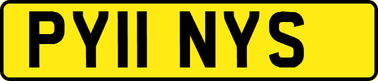 PY11NYS