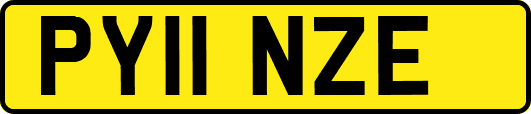 PY11NZE