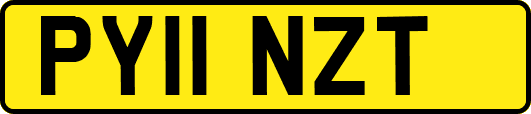 PY11NZT