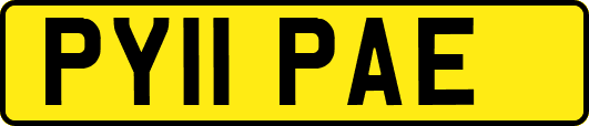 PY11PAE