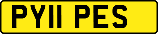 PY11PES