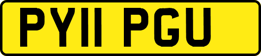 PY11PGU