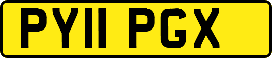 PY11PGX