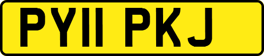 PY11PKJ
