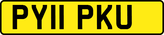 PY11PKU
