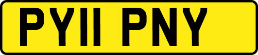 PY11PNY