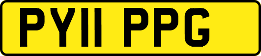 PY11PPG