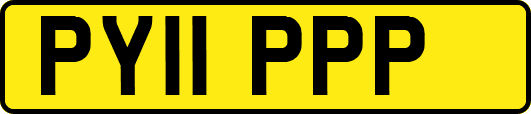 PY11PPP