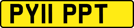 PY11PPT
