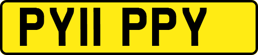 PY11PPY