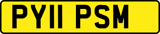 PY11PSM