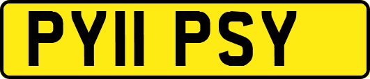 PY11PSY