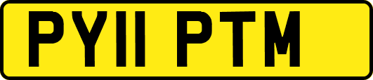 PY11PTM