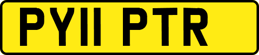 PY11PTR