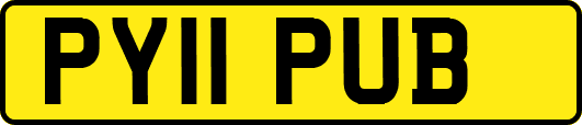 PY11PUB