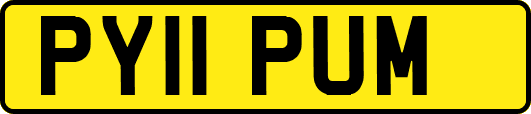 PY11PUM