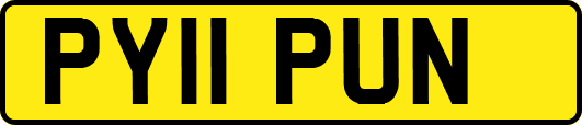 PY11PUN