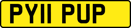 PY11PUP