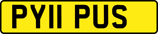 PY11PUS