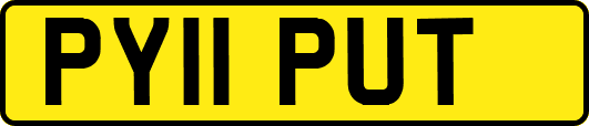 PY11PUT