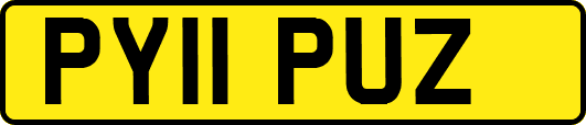 PY11PUZ