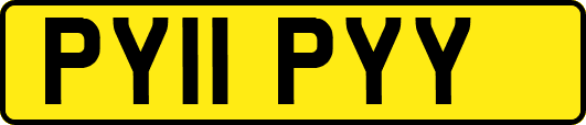 PY11PYY