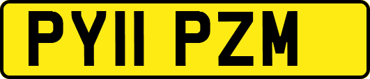PY11PZM