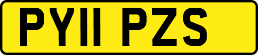 PY11PZS