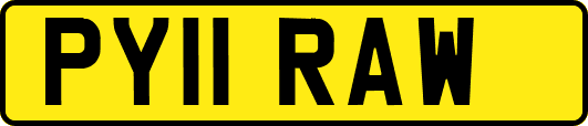 PY11RAW