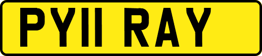 PY11RAY