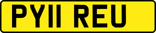 PY11REU