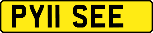 PY11SEE