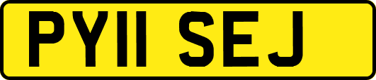 PY11SEJ