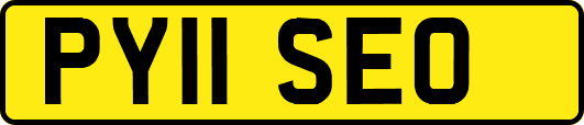 PY11SEO