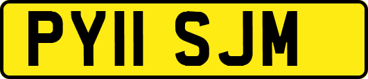 PY11SJM